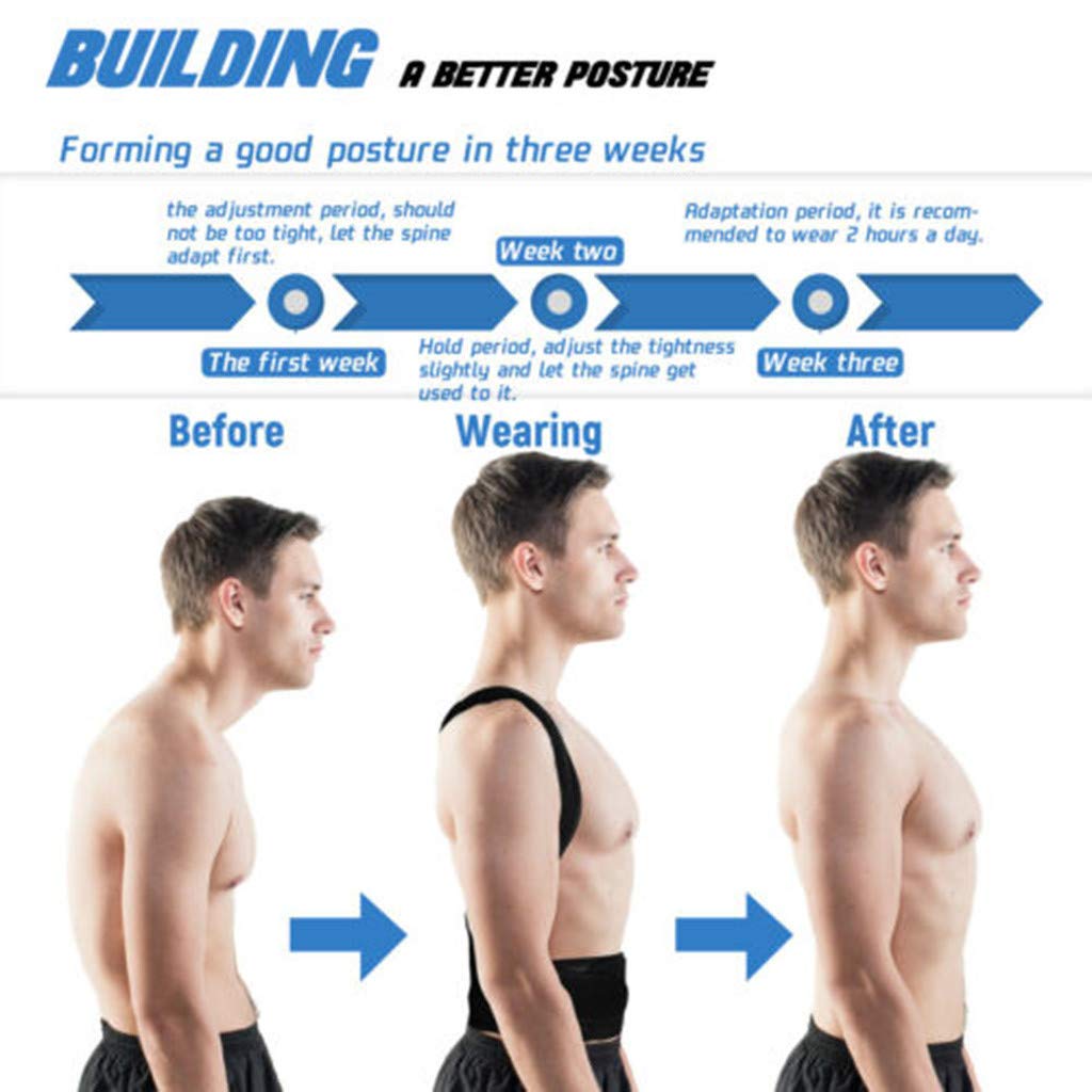 "back posture corrector"